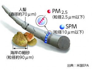 ＰＭ２．５は本当に超微粒子です。肺の奥まで届いてしまいます。