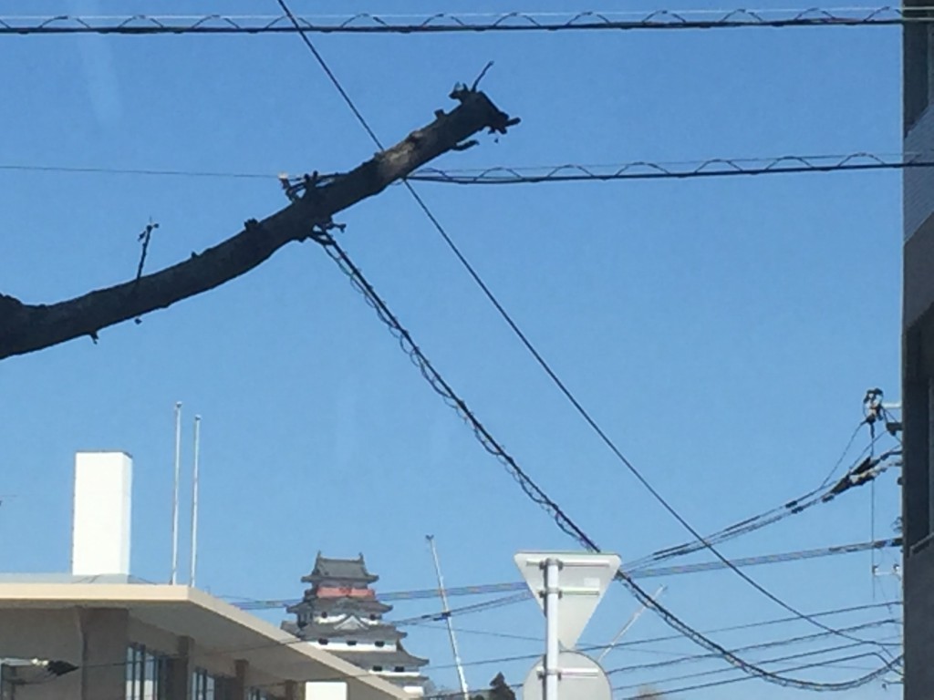 天気が良すぎてお店から唐津城が綺麗にみえました。