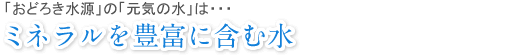 「おどろき水源」の「元気の水」は…ミネラルを豊富に含む水