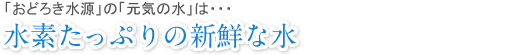 「おどろき水源」の「元気の水」は…水素たっぷりの新鮮な水